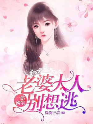 一胎两宝老婆你别想沈蔓歌